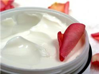 Shea Aloe Cream